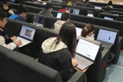 量软件研发工做将取AI协同完成